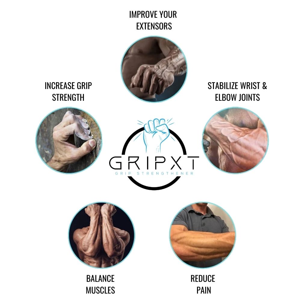 Understanding Grip Strength Regulation